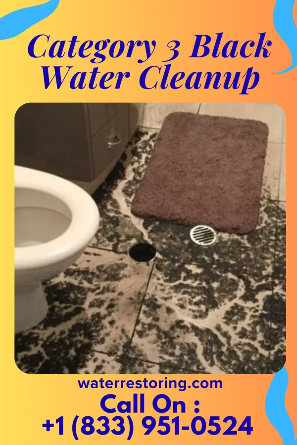 Category 3 Black Water Cleanup in Middletown, OH
